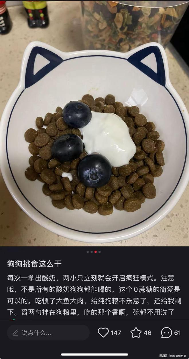 ”撬动萌宠经济与母婴信任双赛道开元棋牌简爱酸奶以“纯净配方(图3)