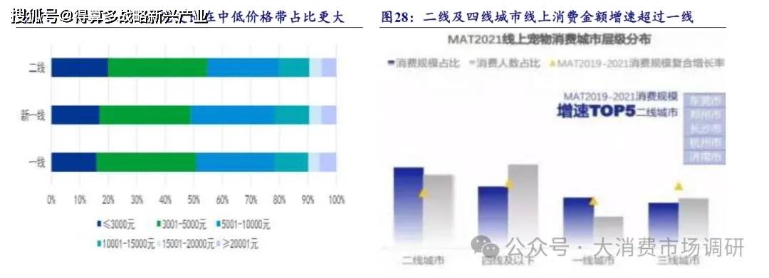 场发展分析（60页报告）ky开元棋牌宠物粮食市(图2)