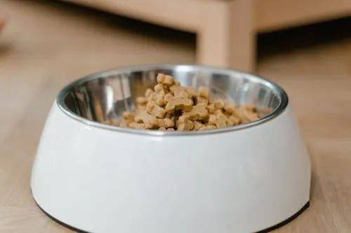 0%！国产宠物食品迎来 黄金逆袭期ky开元棋牌进口粮成本暴涨 15(图4)