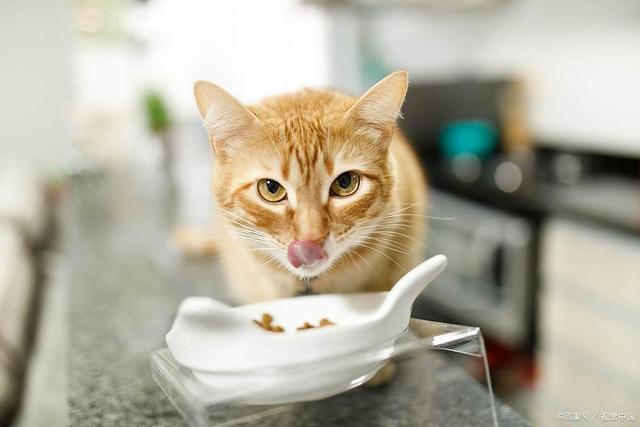 要吗？这样救安全省心不浪费开元棋牌S生肉